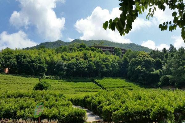 梅州旅游景点哪里好玩 必去十大景点推荐 梅州旅游景点哪里好玩 必去十大景点推荐