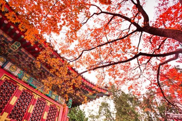 北京香山公园开放时间2023 北京香山公园开放时间2023