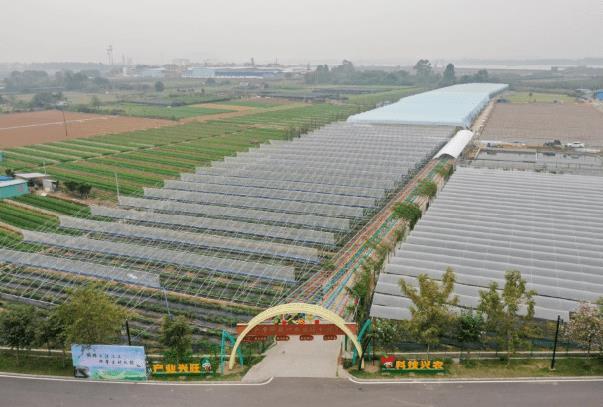 佛山适合学生去的地方 研学游路线推荐 佛山适合学生去的地方 研学游路线推荐