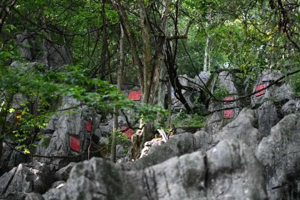 中国印山门票及游玩攻略 中国印山门票及游玩攻略