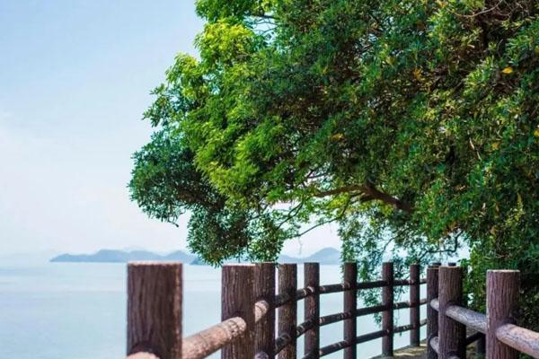 2023宁海网红打卡的景点有哪些 2023宁海网红打卡的景点有哪些