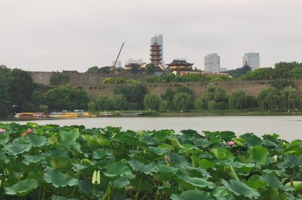 南京市区的公园有哪些值得一去 南京市区的公园有哪些值得一去