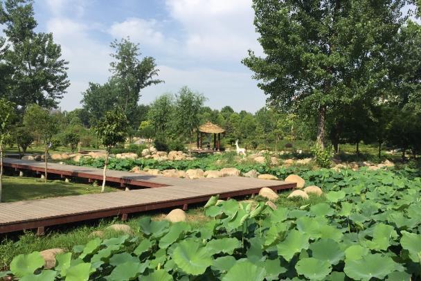 北京免费湿地公园有哪些景点 北京免费湿地公园有哪些景点