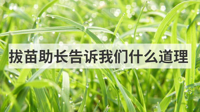 画蛇添足告诉我们什么道理