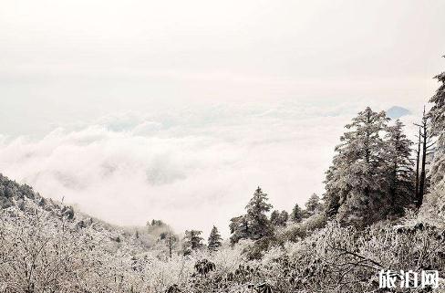 西岭雪山夏天还有雪吗 西岭雪山夏天适合去吗 西岭雪山夏天还有雪吗 西岭雪山夏天适合去吗