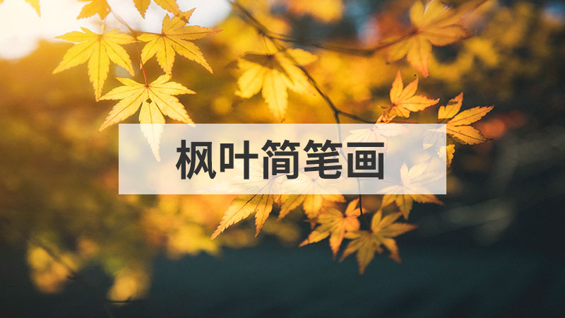 喇叭花怎么画