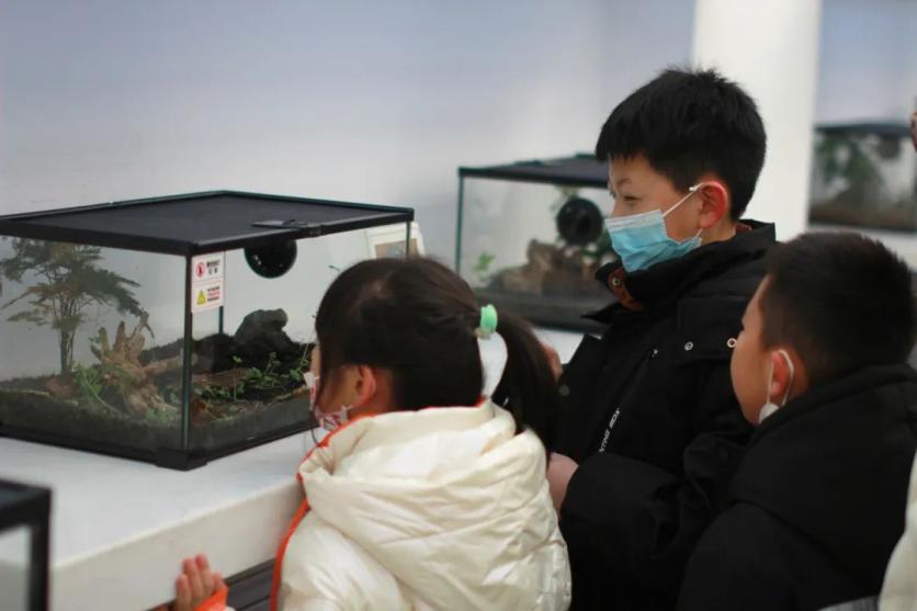 乌鲁木齐春季适合学生的打卡地推荐 乌鲁木齐春季适合学生的打卡地推荐