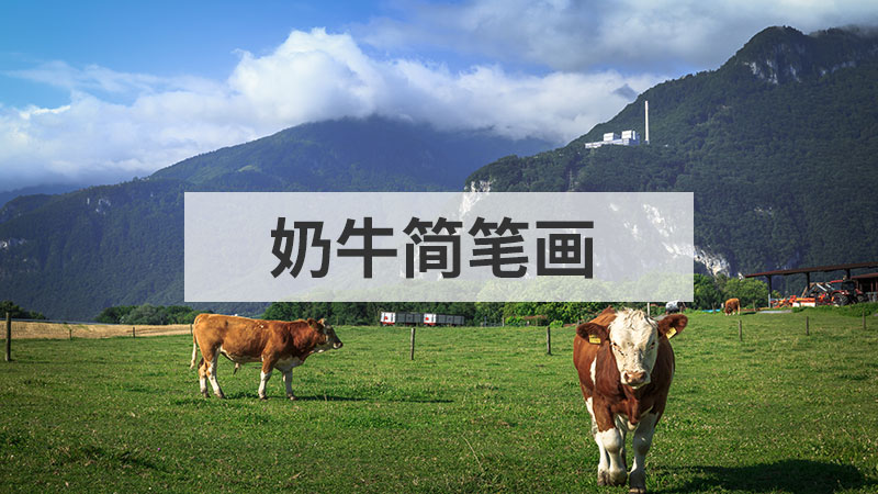 七星瓢虫简笔画怎么画