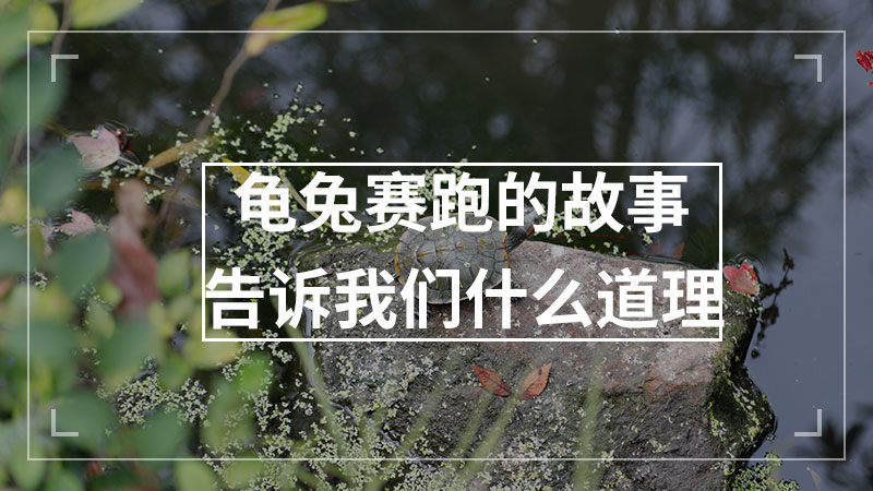 郑人买履告诉我们什么道理
