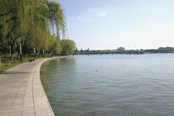 环金鸡湖步道一圈多少公里 环金鸡湖步道一圈多少公里