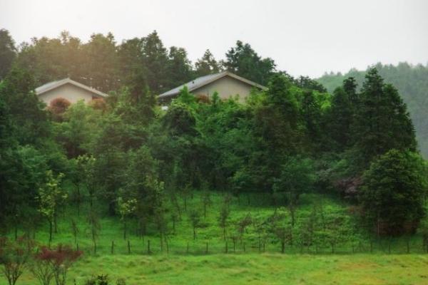 重庆8月份适合旅游的地方有哪些 重庆8月份适合旅游的地方有哪些
