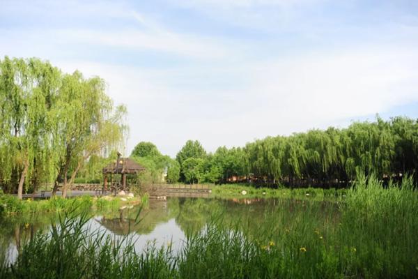 郑州夏季十大避暑旅游好去处 郑州夏季十大避暑旅游好去处
