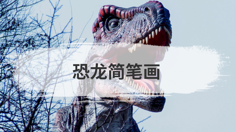 中国结怎么画