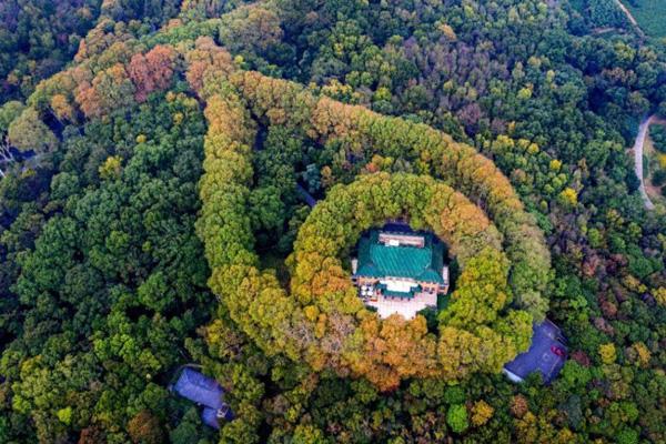 南京度假村有哪些地方 最值得去的度假村（钟山风景区度假村攻略）