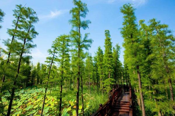 徐州夏日去哪玩 十大避暑胜地 徐州夏日去哪玩 十大避暑胜地