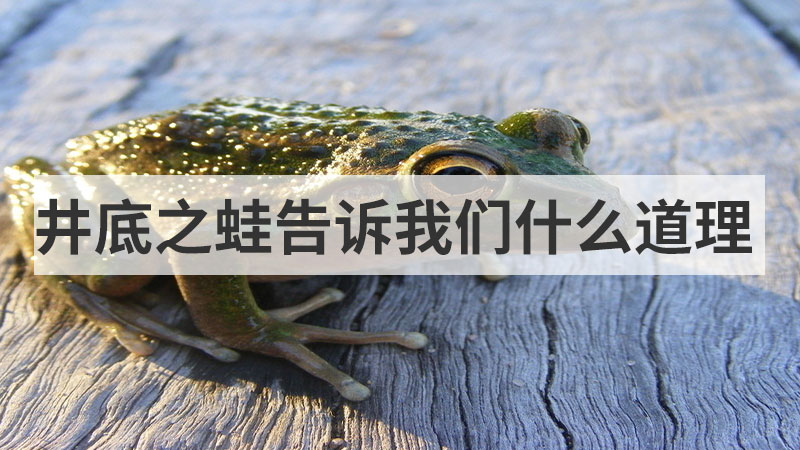井底之蛙告诉我们什么道理