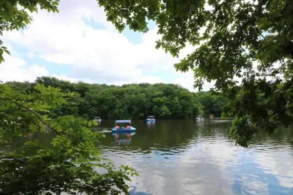夏天嘉兴避暑好玩的地方 十大避暑胜地 夏天嘉兴避暑好玩的地方 十大避暑胜地