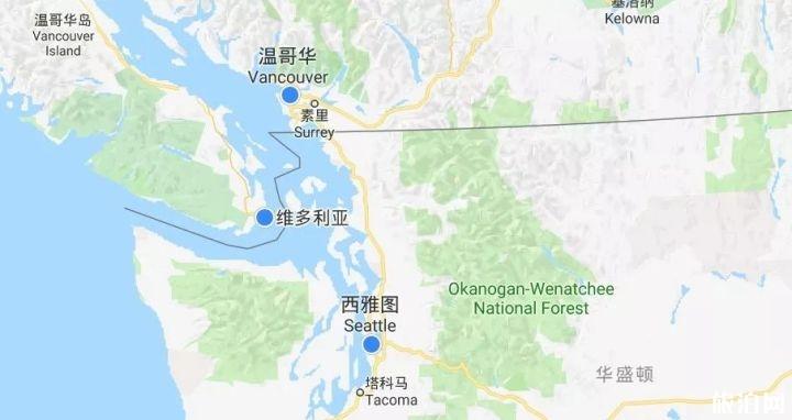 哪里可以观鲸 鲸主要分布在哪些地方 哪里可以观鲸 鲸主要分布在哪些地方