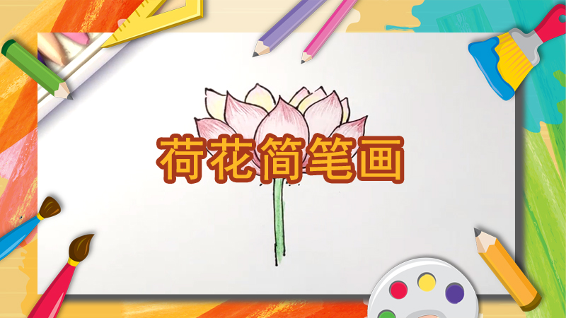 荷花简笔画教程