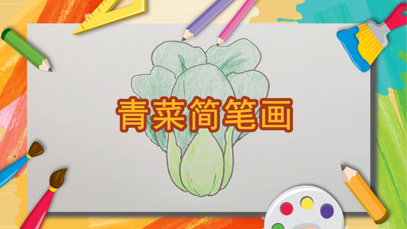 多肉简笔画