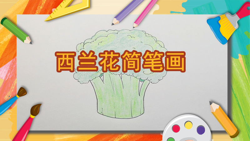 西兰花简笔画