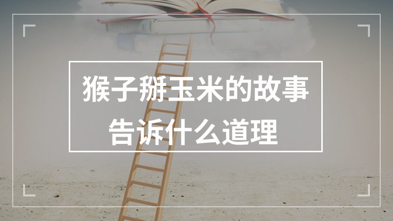 幼儿时期有哪些学习内容属于社会领域