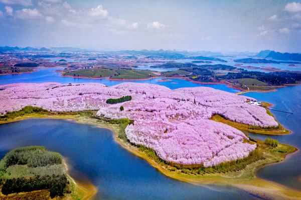 2023贵阳春季看花的景点推荐 2023贵阳春季看花的景点推荐