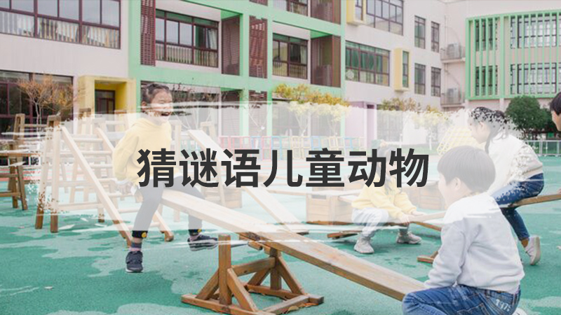 美工区规则