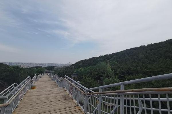 2023大青山野生动物园观光栈道及猛兽区开放了吗 2023大青山野生动物园观光栈道及猛兽区开放了吗