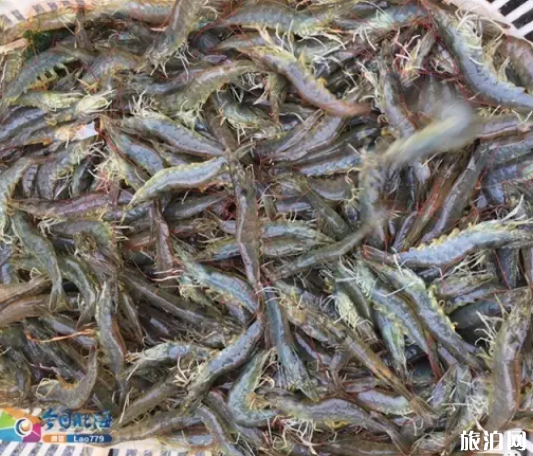 北海什么时候开海2023 北海什么时候去最好 北海海鲜怎么选 北海什么时候开海2023 北海什么时候去最好 北海海鲜怎么选