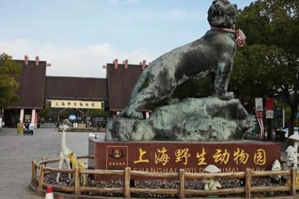 2023上海野生动物园门票(价格+优惠+注意事项) 2023上海野生动物园门票(价格+优惠+注意事项)