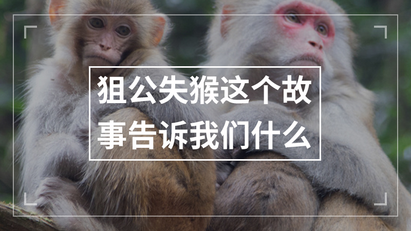 幼儿园说课的基本步骤