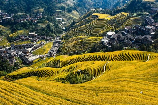 桂林龙脊梯田几月份去最好 附最佳观赏时间（最佳旅游时间攻略）
