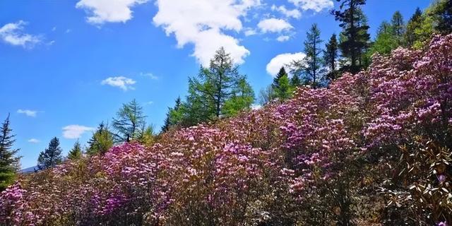 此生必去的30个旅行地(这个夏天去哪里)
