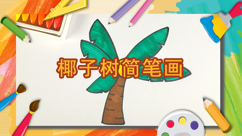 椰子树简笔画的画法