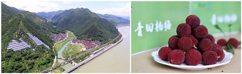 浙江有哪些特产值得带(浙江12地成为新一批全国示范)