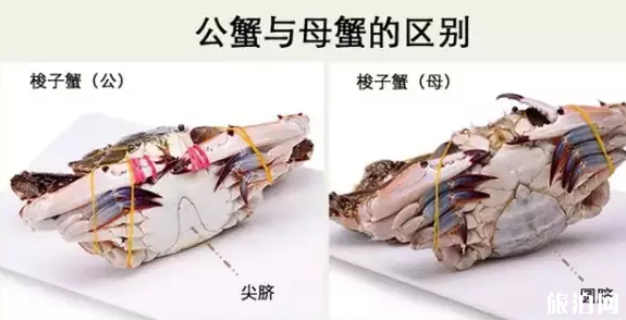北海什么时候开海2023 北海什么时候去最好 北海海鲜怎么选 北海什么时候开海2023 北海什么时候去最好 北海海鲜怎么选