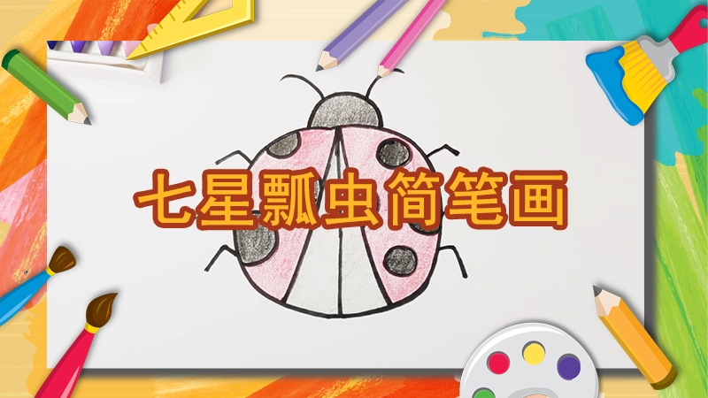 蒲公英简笔画
