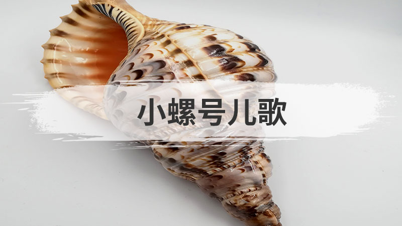 幼儿适宜的水上游戏有哪些