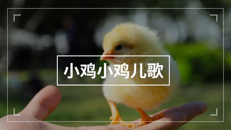 4-5岁幼儿年龄特点