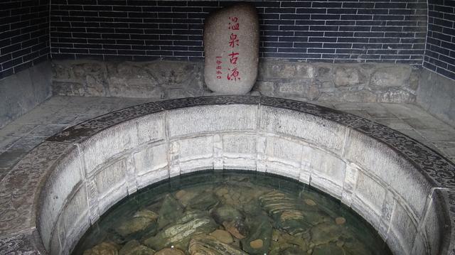 西安千年古都景点(西安旅游必去景点)