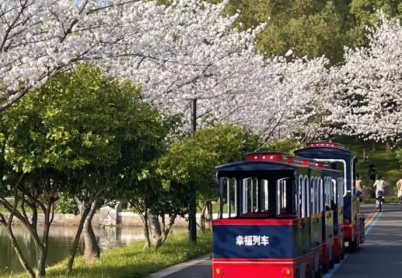2023义乌植物园樱花什么时候开 2023义乌植物园樱花什么时候开
