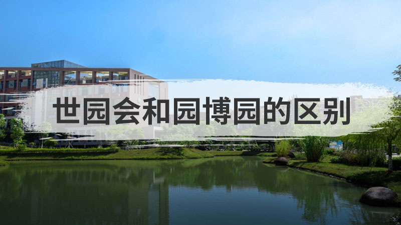 幼儿园序数的概念