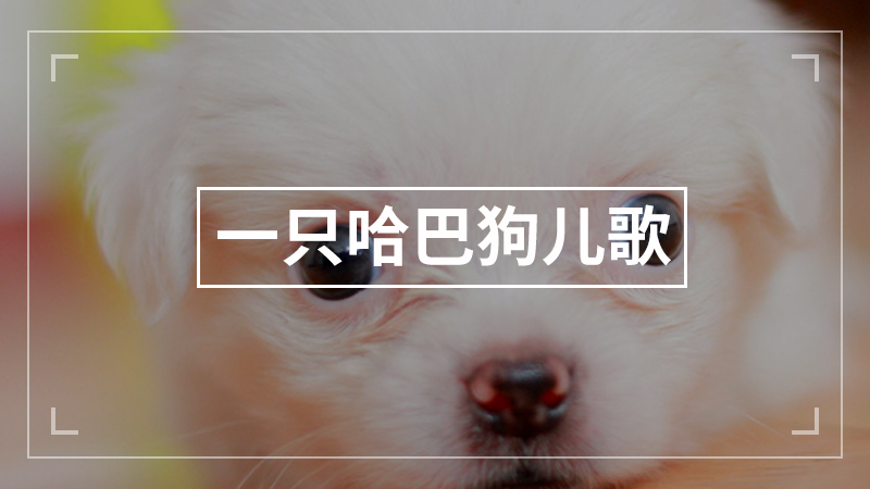 幼儿园上课流程