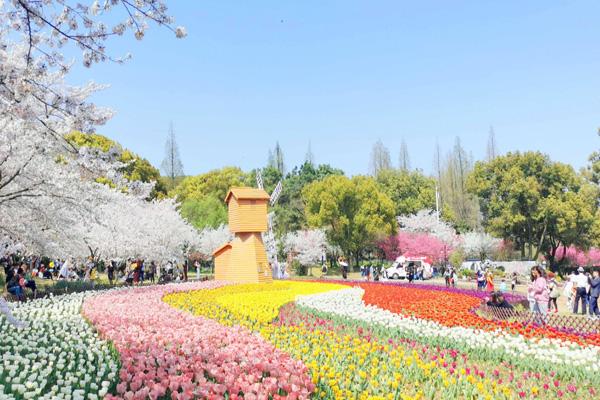 2023上方山百花节门票多少钱 附游玩时间及赏花指南（门票价格攻略）