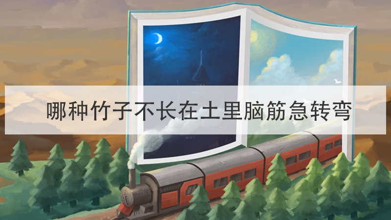 哪些比赛是往后跑的脑筋急转弯