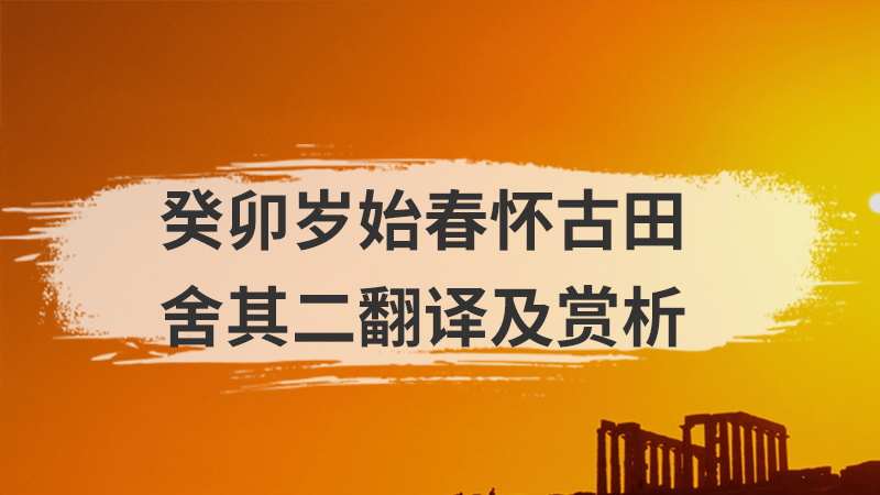别董大表达了诗人怎样的感情