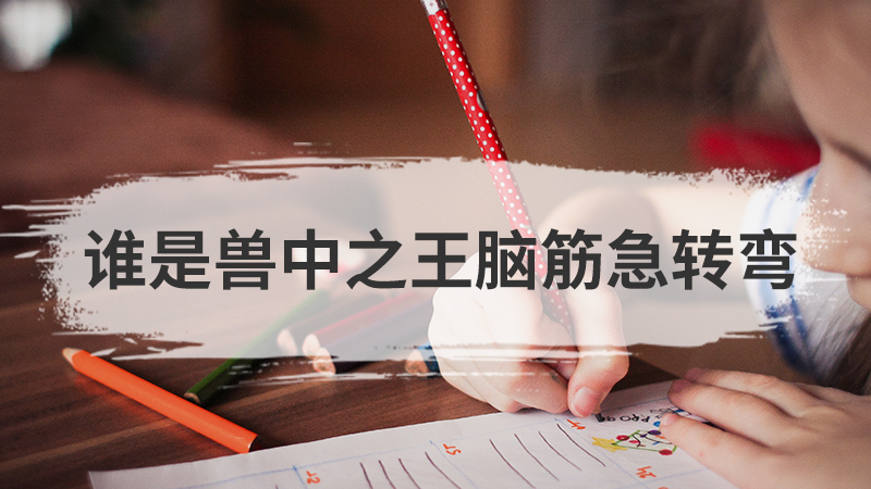生米不留意煮成熟饭怎么办脑筋急转弯