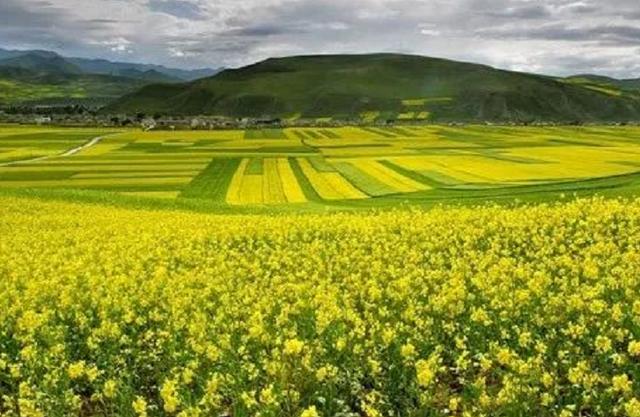 青海最不值得去的十大景点(青海最值得去的12个地方)