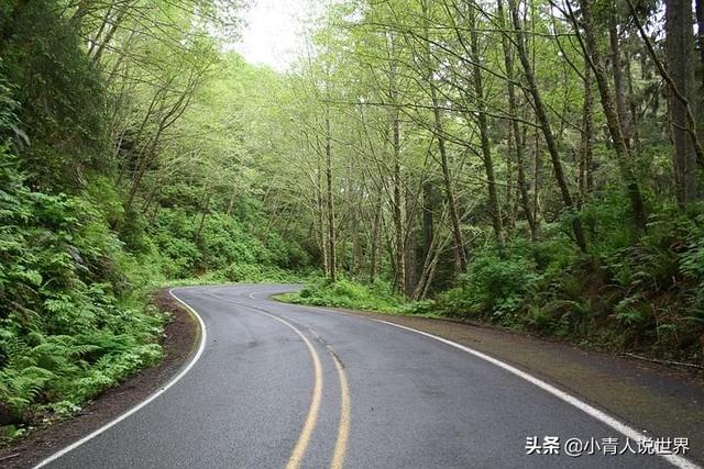 旅行自由行好还是跟团好(跟团旅行和独立旅行)